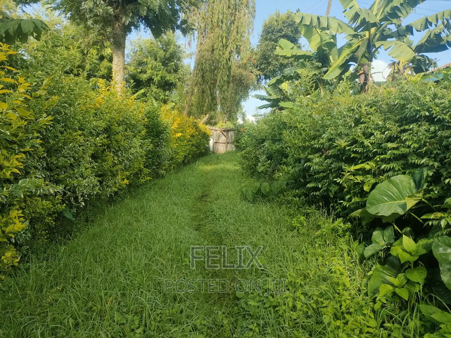 4 Acres Karatina/Kagochi University Main Tarmac