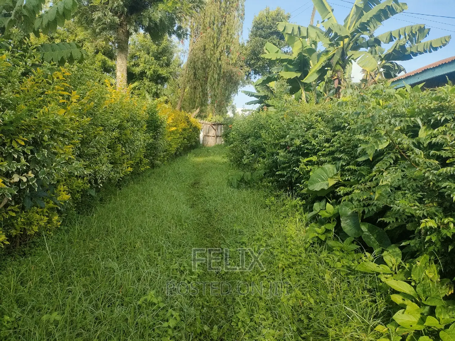 4 Acres Karatina/Kagochi University Main Tarmac