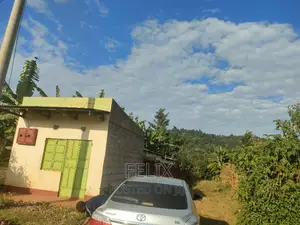 Kirinyaga,Kibirigwi 40/60 Rental House on Sale