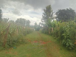 Nyeri /Giakanja 50/100 - main view