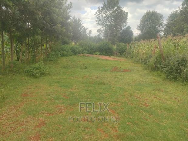 Nyeri /Giakanja 50/100 - thumbnail 2