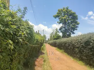 Nyeri /Giakanja 50/100