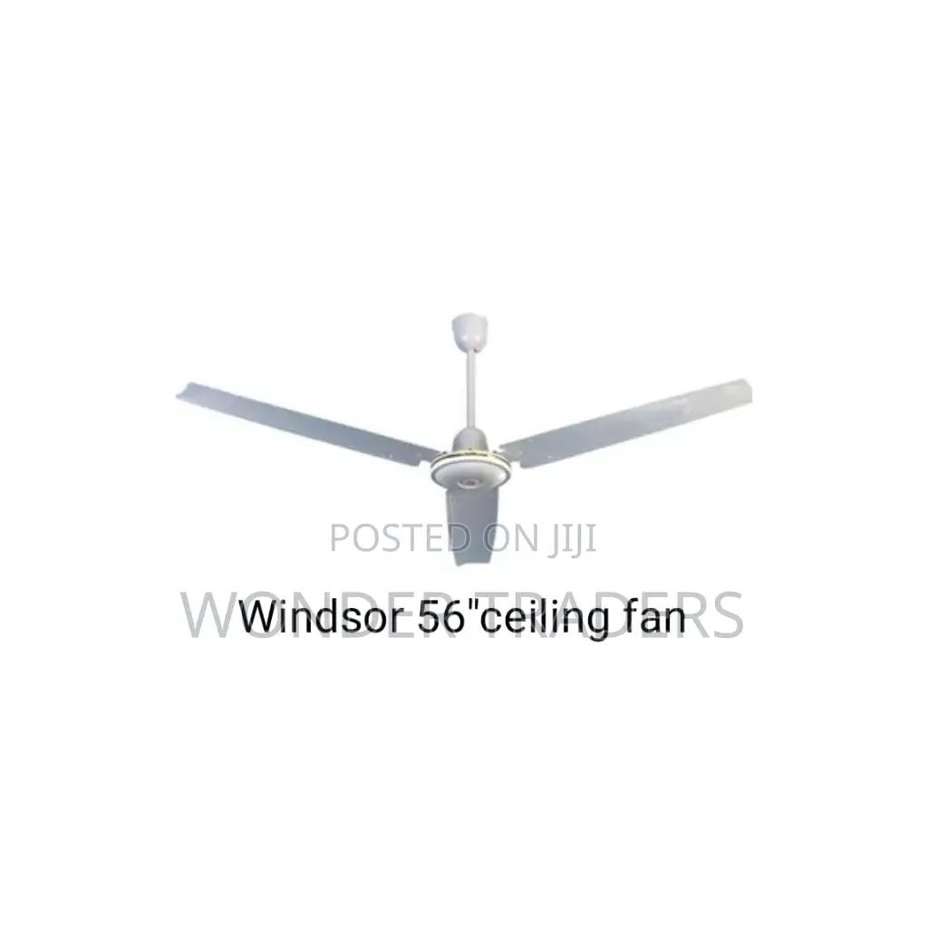 Ceiling Fun Ceiling Fun