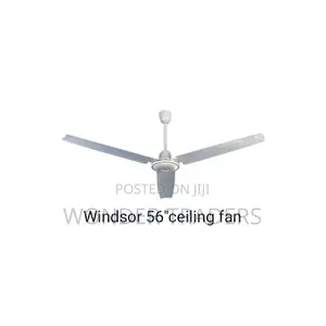 Ceiling Fun Ceiling Fun