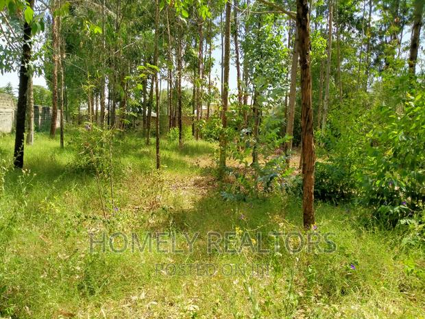 Half Acre Plot in Ongata Rongai, Rimpa Tarmac With Perimeter - thumbnail 4