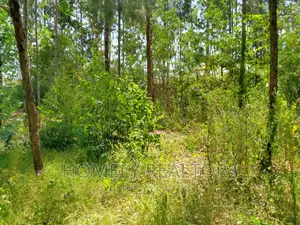 Half Acre Plot in Ongata Rongai, Rimpa Tarmac With Perimeter