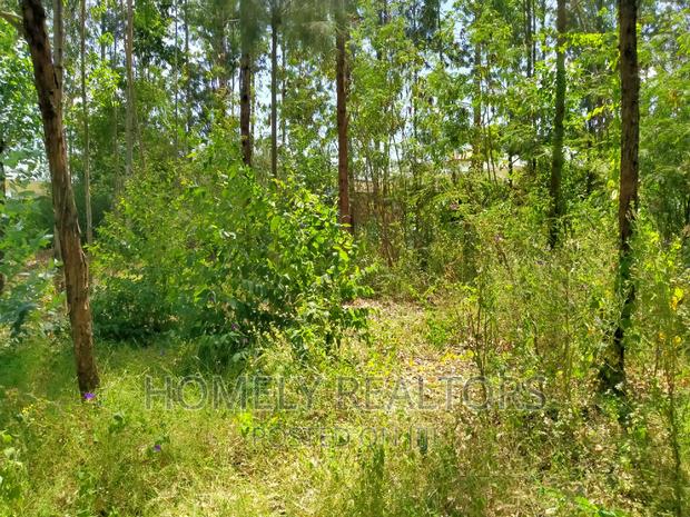 Half Acre Plot in Ongata Rongai, Rimpa Tarmac With Perimeter - thumbnail 3