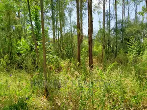 Half Acre Plot in Ongata Rongai, Rimpa Tarmac With Perimeter