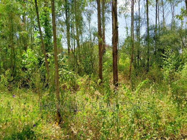 Half Acre Plot in Ongata Rongai, Rimpa Tarmac With Perimeter - thumbnail 5