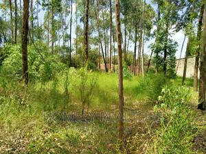 Half Acre Plot in Ongata Rongai, Rimpa Tarmac With Perimeter - thumbnail 2