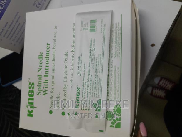 Spinal Needle With Introducer - main view