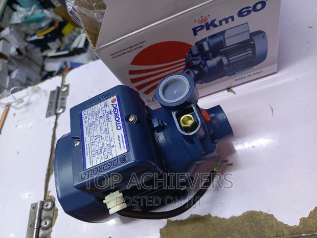 Quality 0.5hp Pedrollo Pump Pkm60 - main view