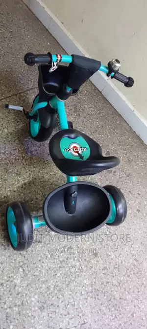 Raleigh Kids Trycycle