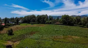 Eighth-Acre (50*100) Plots Ngong Along Masai Road Near CITAM