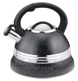 Heavy Stainless Steel Haus Rolland 3.0L Cook N Serve High