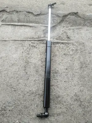 FJ 100 Bonnet Shocks