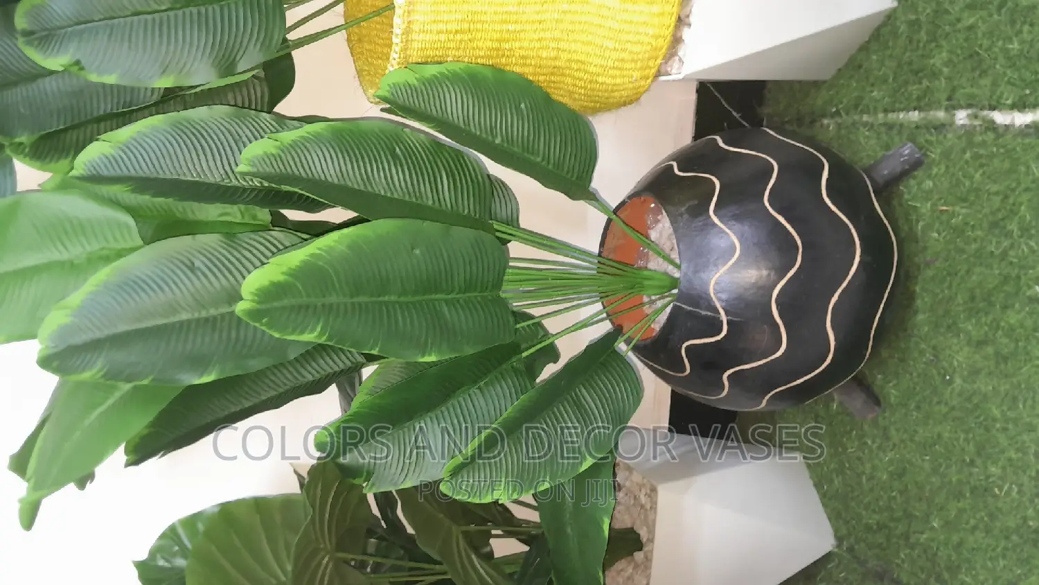 Banana With Calabash and Pebble Stones
