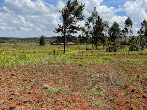 Residential Plot For Sale In Gikambura.(Behind Nairobi Ndogo
