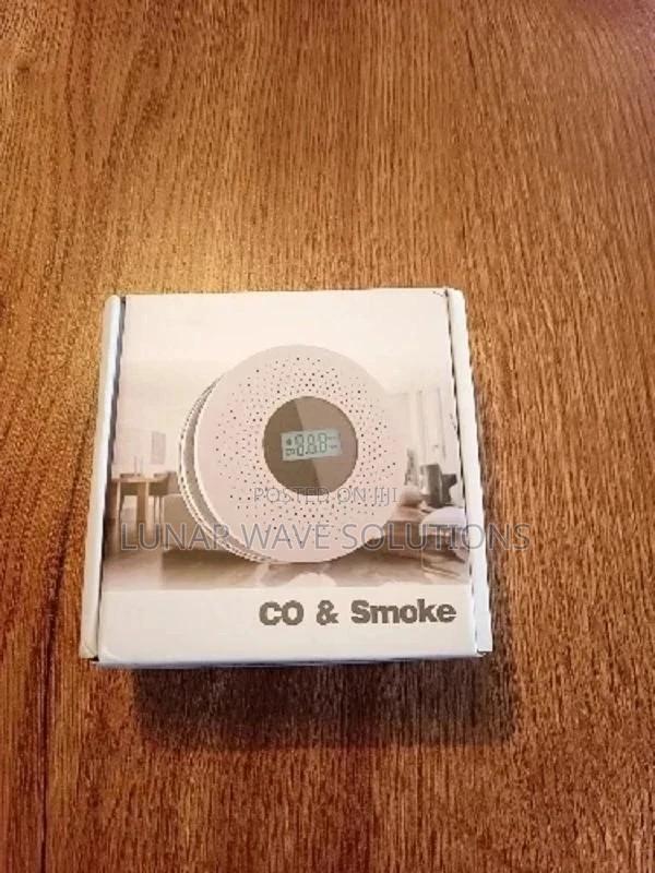 Carbon Monoxide Dectector And Alarm - main view