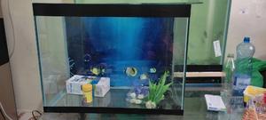 Complete Set Aquarium 80litres - thumbnail 2