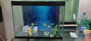 Complete Set Aquarium 80litres