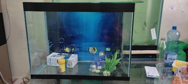 Complete Set Aquarium 80litres - main view