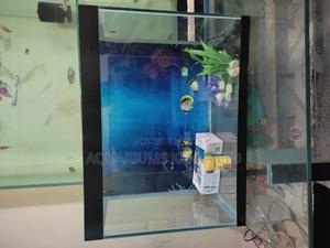 Complete Set 80 L Aquarium , 2ft by 1ft by 11⁄2ft - thumbnail 2