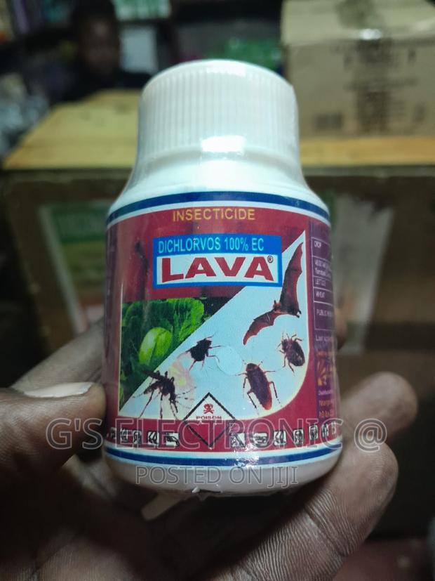 Lava Pest Control (The Lava Pest) - main view