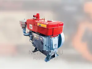 Jiang Dong Diesel Engine 24hp Zs1115wp