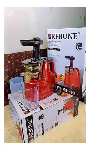 Rebune Slow Juicer ,DC Motor 2 Outlet for Juice Pulp