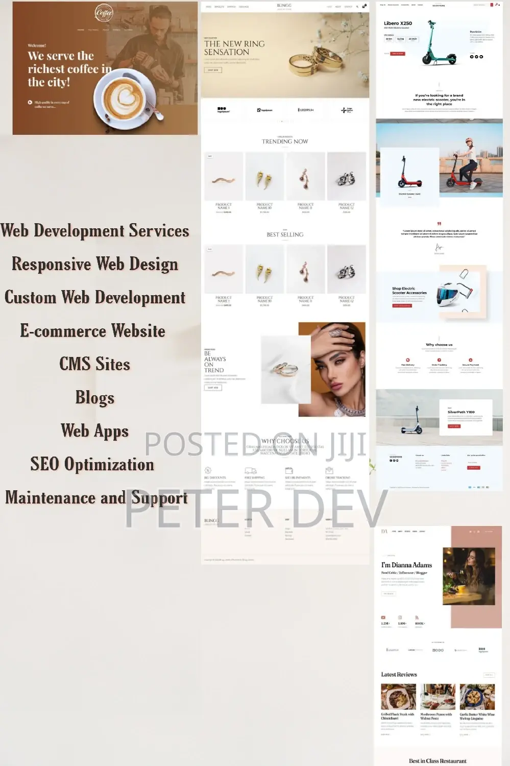 Website Design and Development