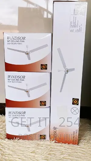 Extremely Hot 
Get Yourselves Fans
Windsor Ceiling Fans
5