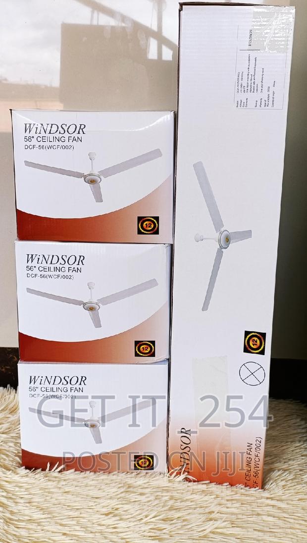 Extremely Hot 
Get Yourselves Fans
Windsor Ceiling Fans
5