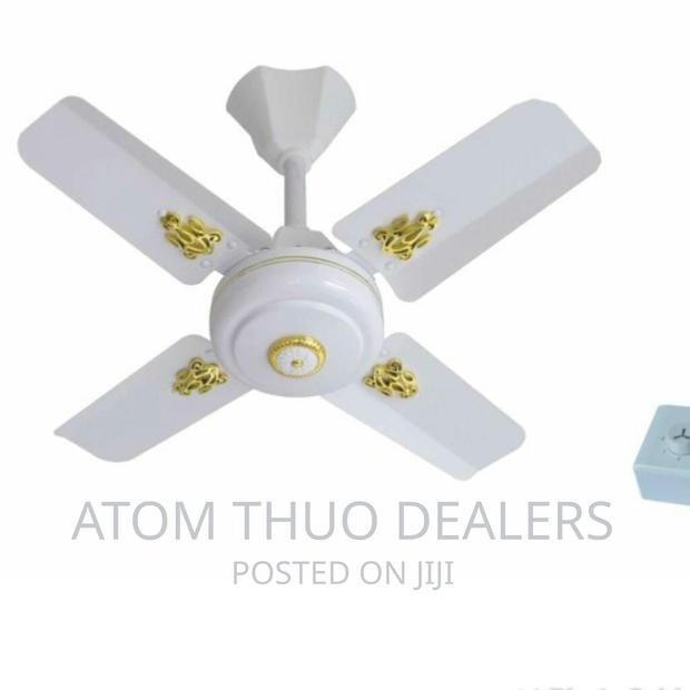 White Windsor Ceiling Fan 24 Inches