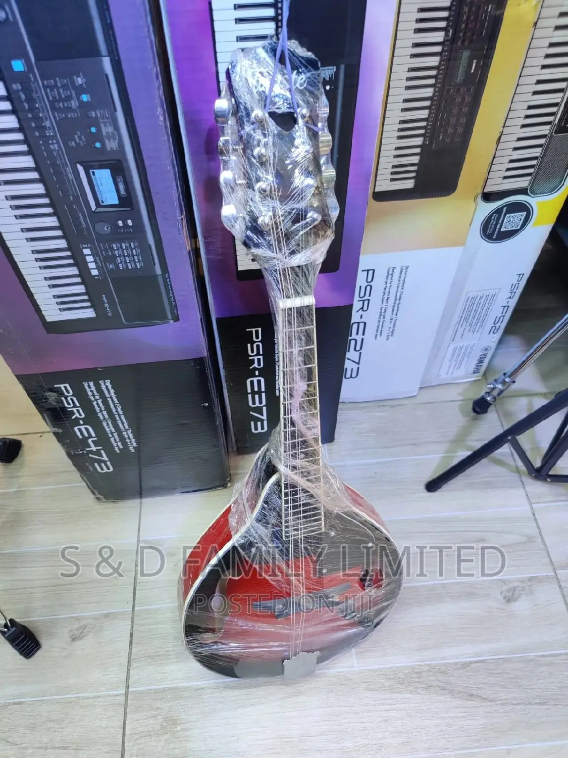 Mandolin Instrument