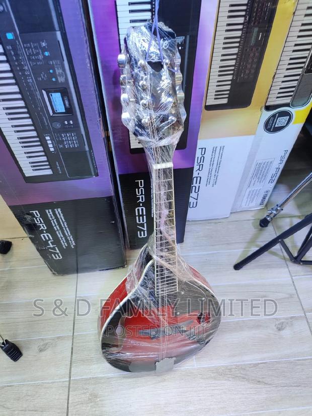 Mandolin Instrument - main view