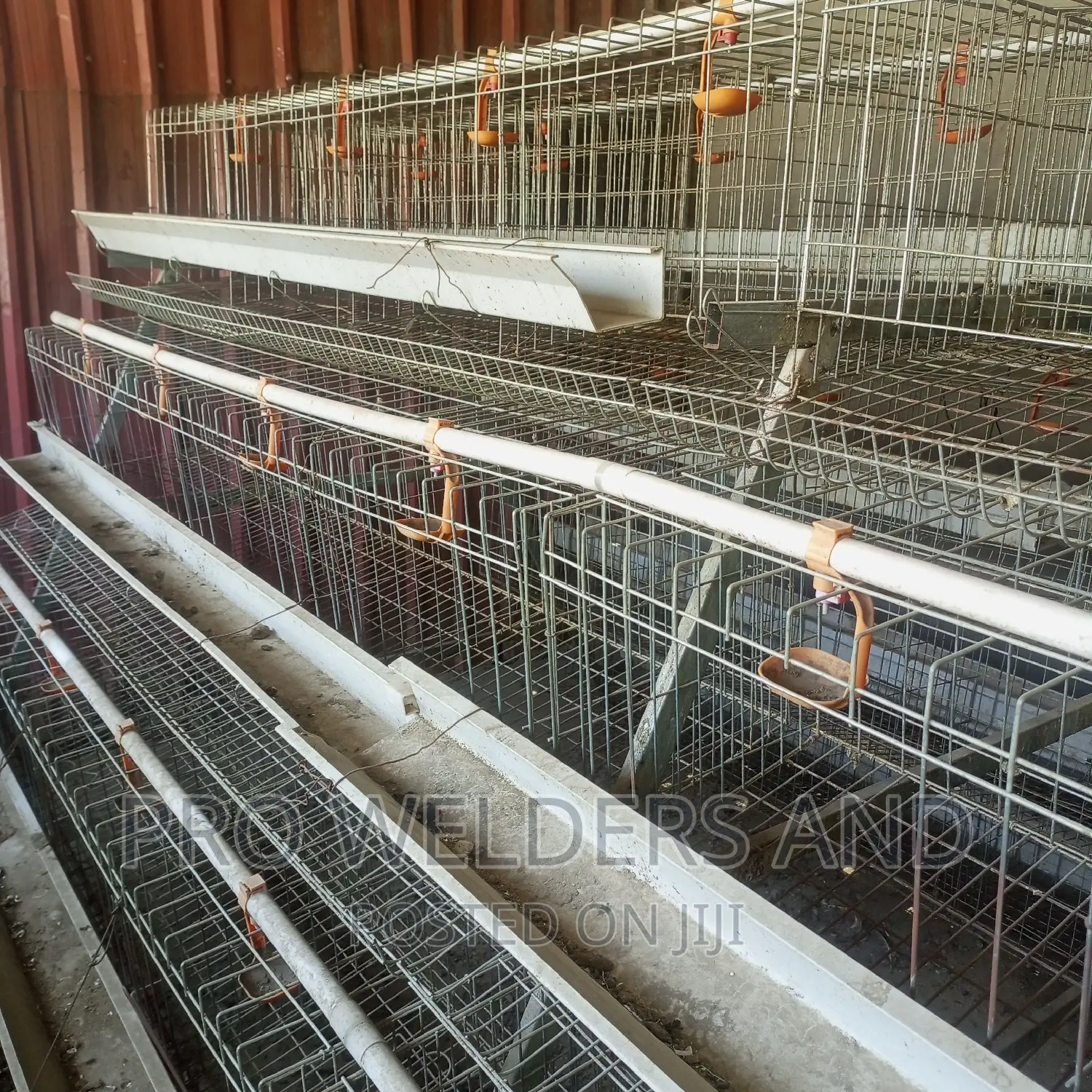 Chicken Cages