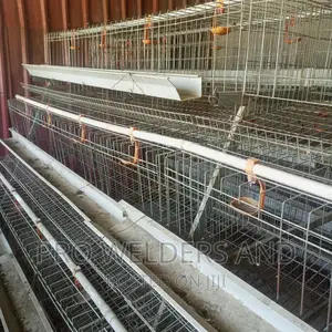 Chicken Cages