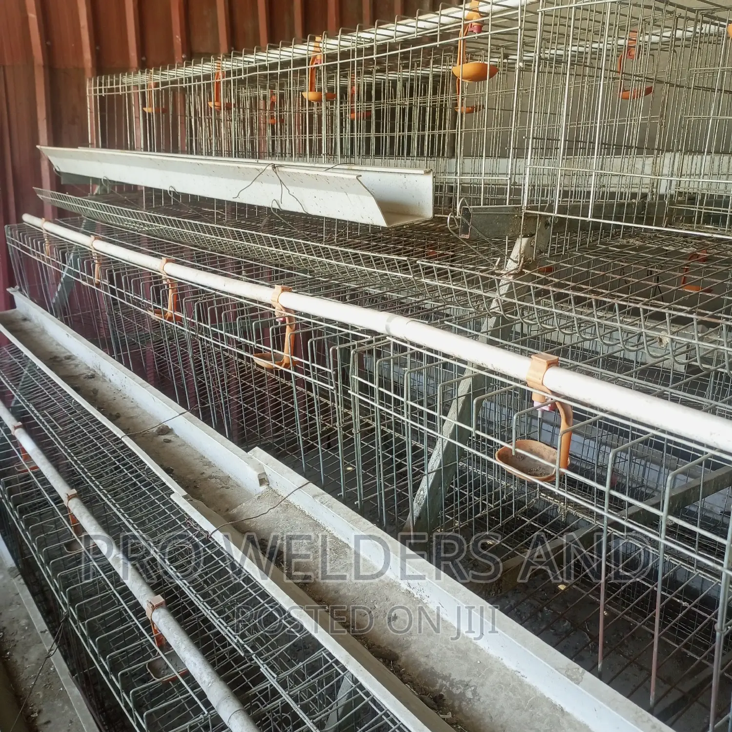 Chicken Cages