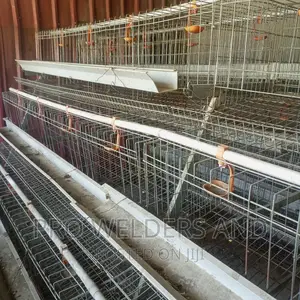 Chicken Cages