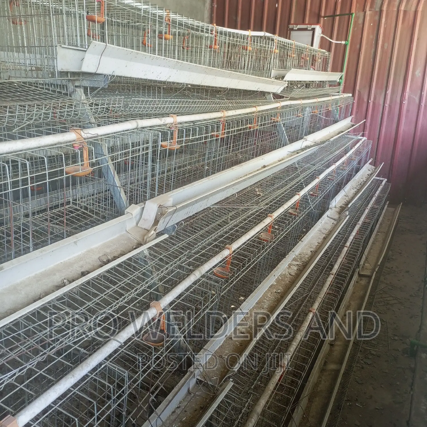 Chicken Cages