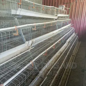 Chicken Cages