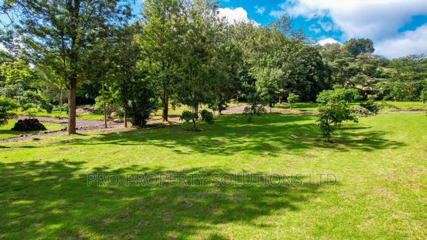 1/4 Acre Plots For Sale In Ngong (TULIVU ESTATE) - thumbnail 7
