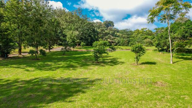1/4 Acre Plots For Sale In Ngong (TULIVU ESTATE) - thumbnail 10