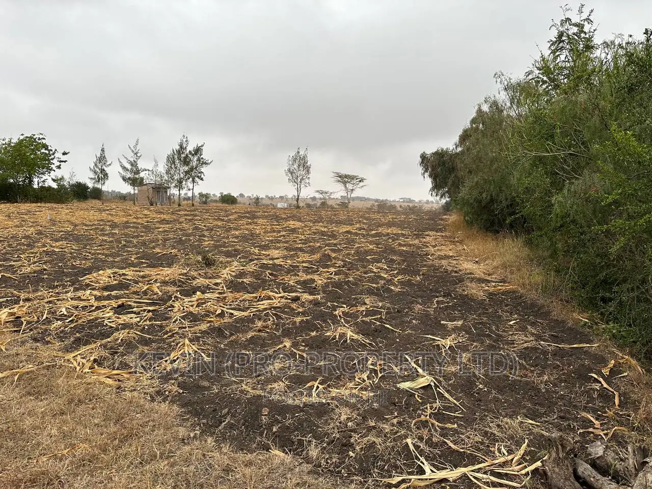 Prime Residential Plots for Sale Kyumbi Machakos.