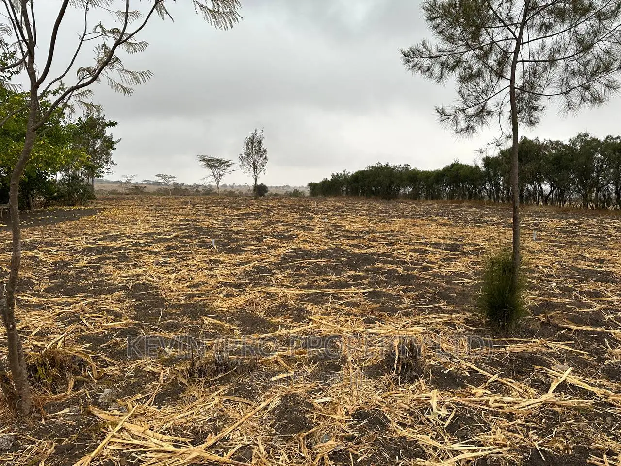 Prime Residential Plots for Sale Kyumbi Machakos.