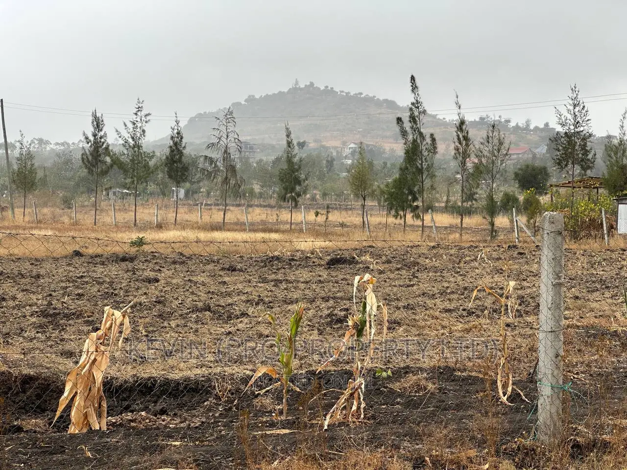 Prime Residential Plots for Sale Kyumbi Machakos.