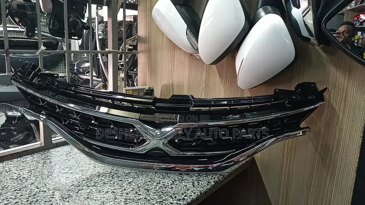 Mark X 2013 Grill