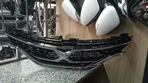 Mark X 2013 Grill