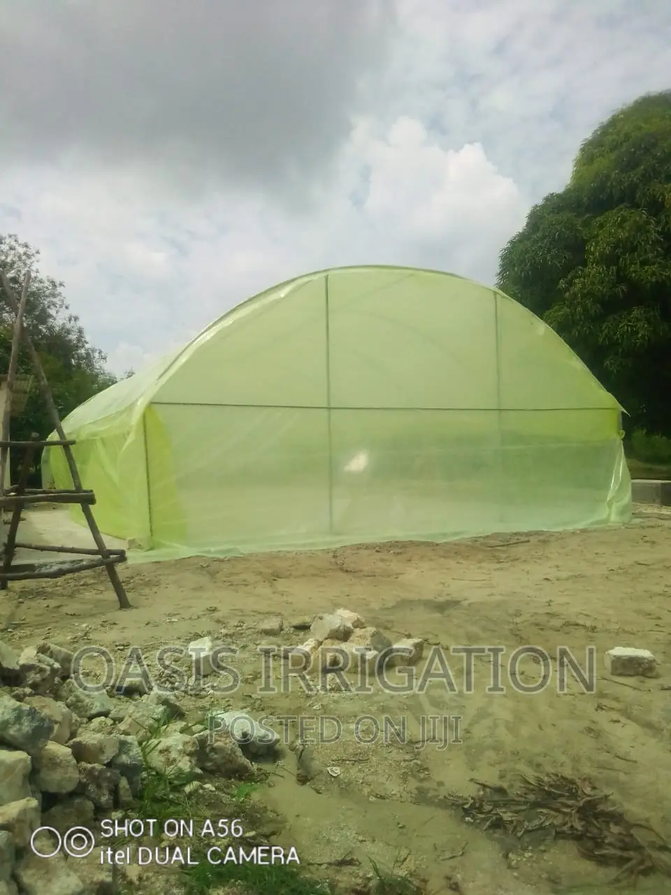 Greenhouse Solar Dryer